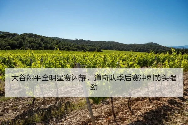da-gu-xiang-ping-quan-ming-xing-sai-shan-yao-dao-qi-dui-ji-hou-sai-chong-ci-shi-tou-qiang-jing-2-127.jpg